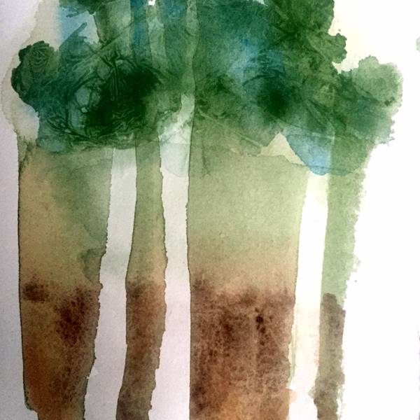 {alt_text}Trees.jpg project