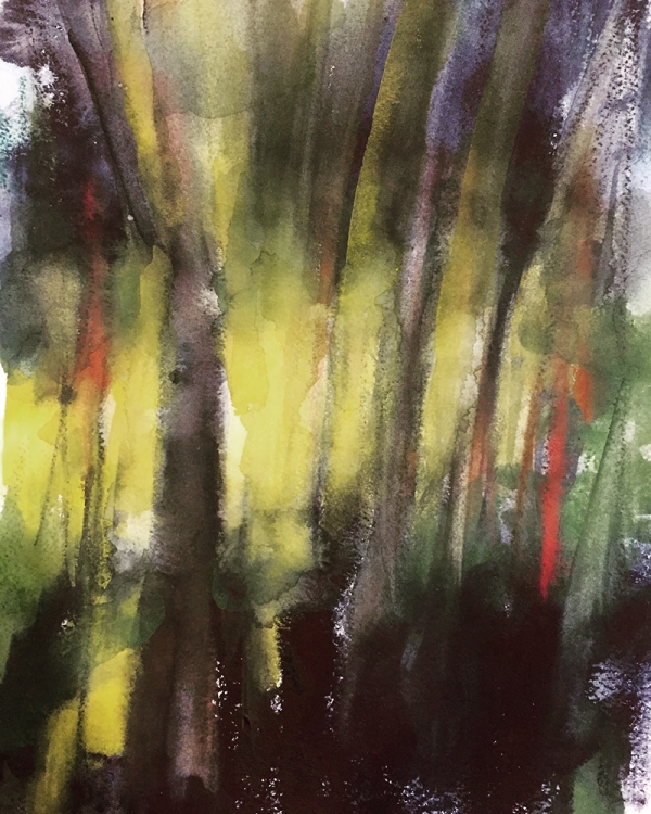 Woods_at_dusk.jpg image