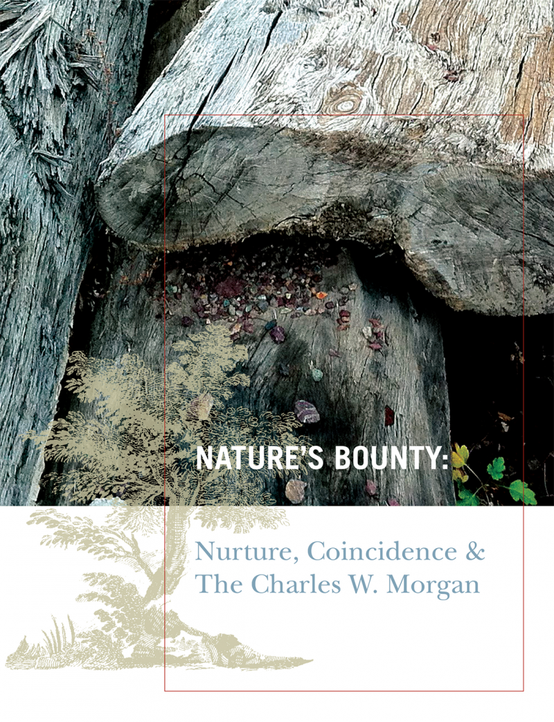 Commemorative Book